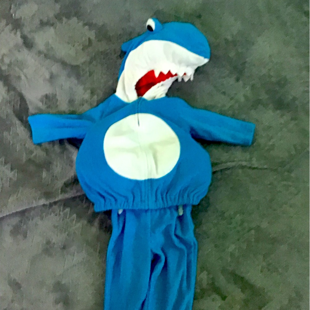 This is a onesie or a costume, very good condition, size 3 to 6 months old
